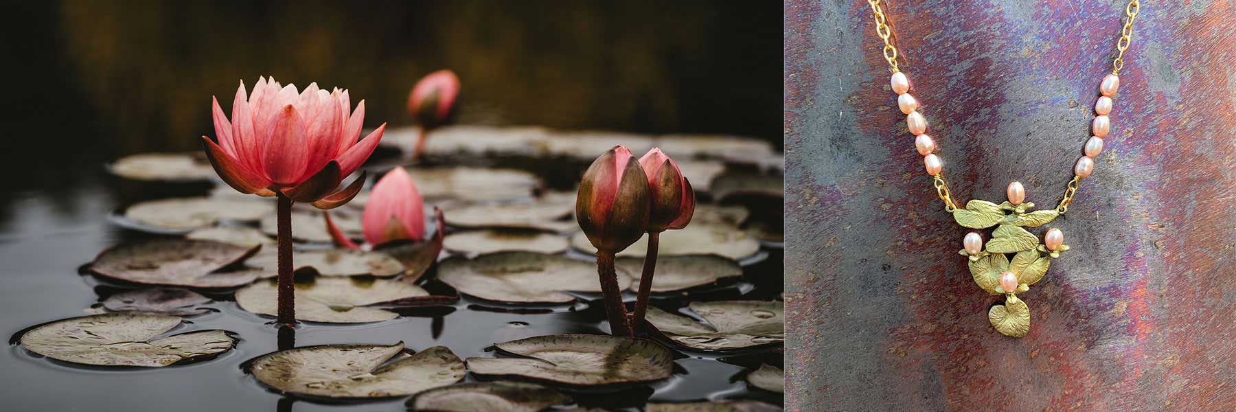 Water Lilies – Michael Michaud US