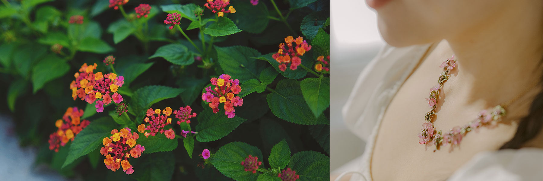 Close-up of small, colorful lantana flowers on a bush, alongside a woman wearing a necklace made of similar small flowers.