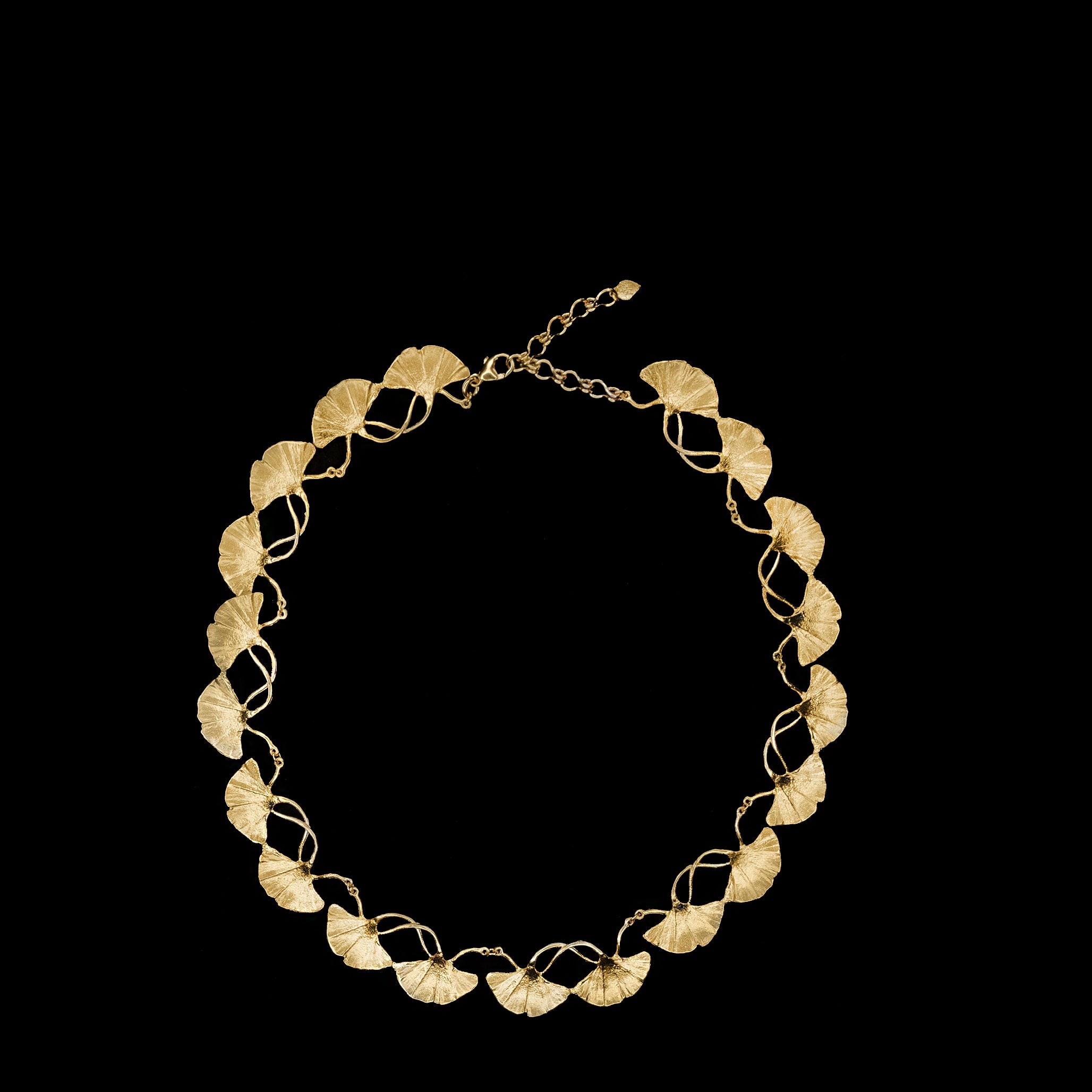 Fine Ginkgo