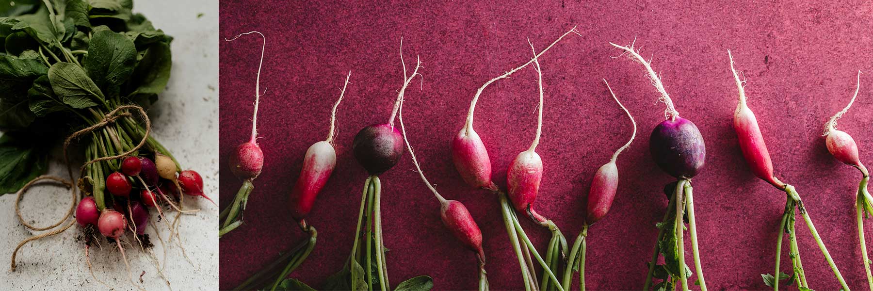 A bundle of radishes tied with twine on the left and several loose radishes with stems and roots displayed in a row on a pinkish-red surface on the right.