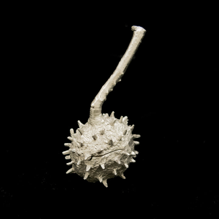 Spiky spherical object with a stem on a black background