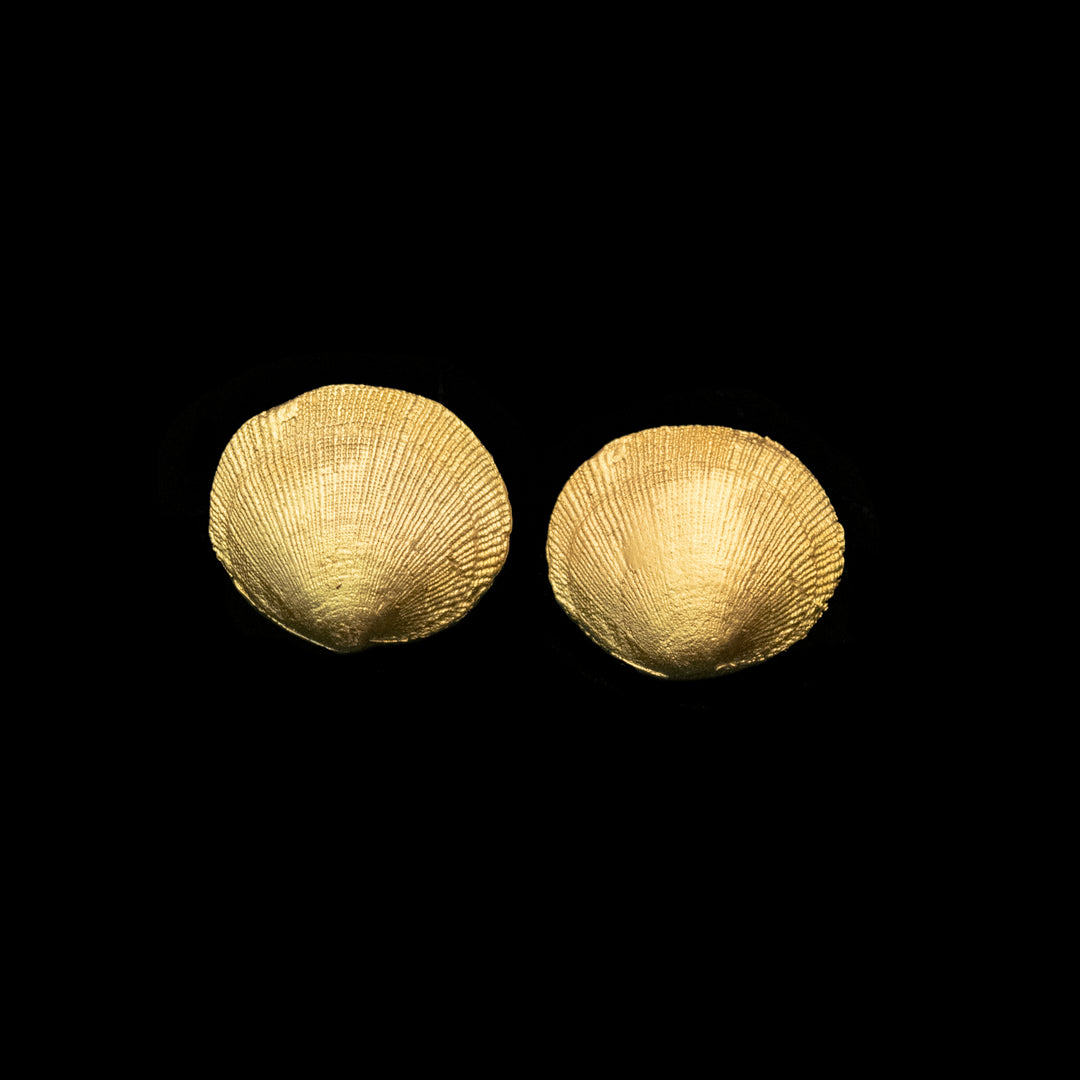 Shell Cufflinks