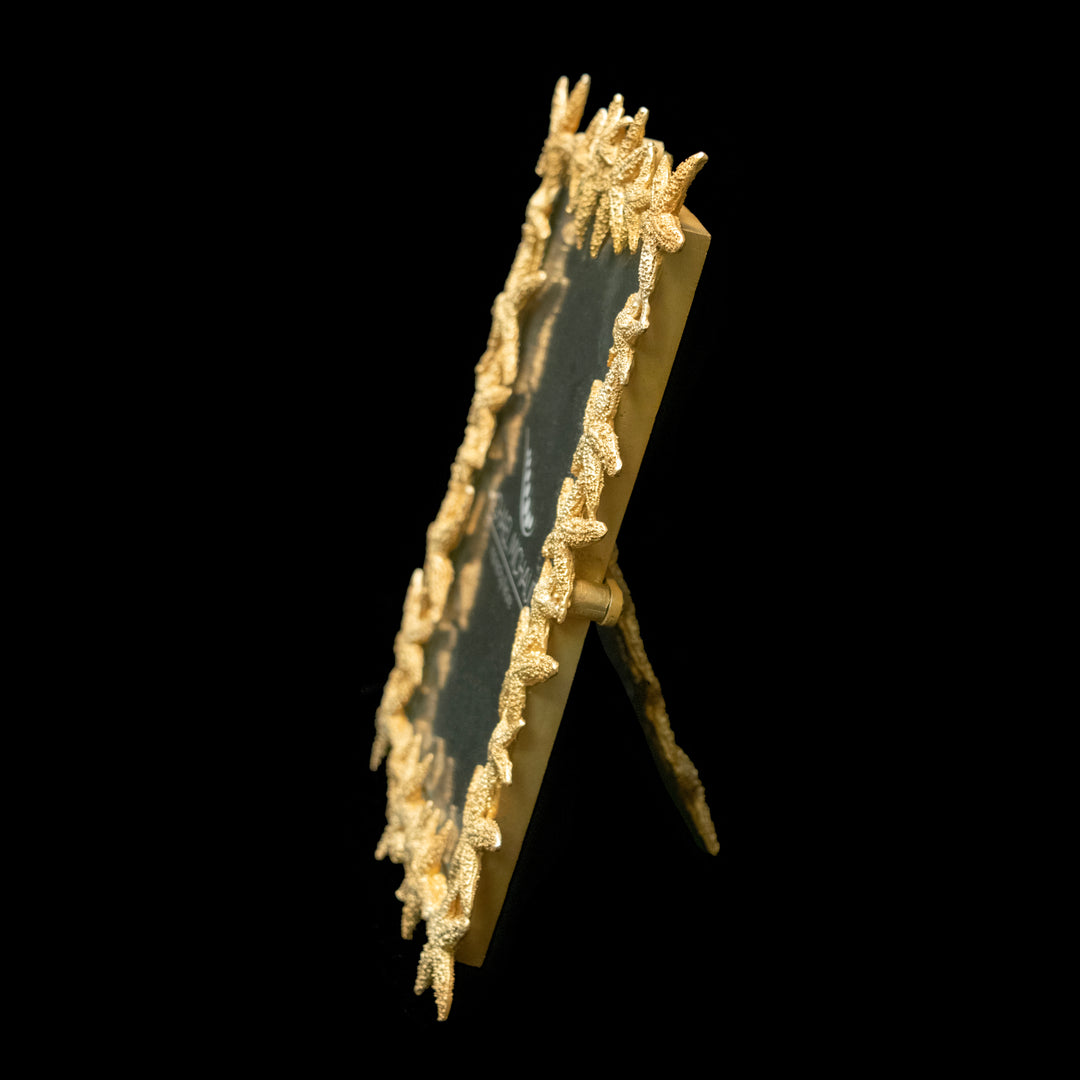 Starfish Frame