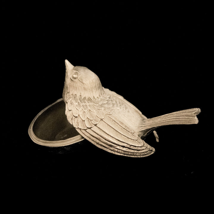 Silver bird-shaped object on a black background