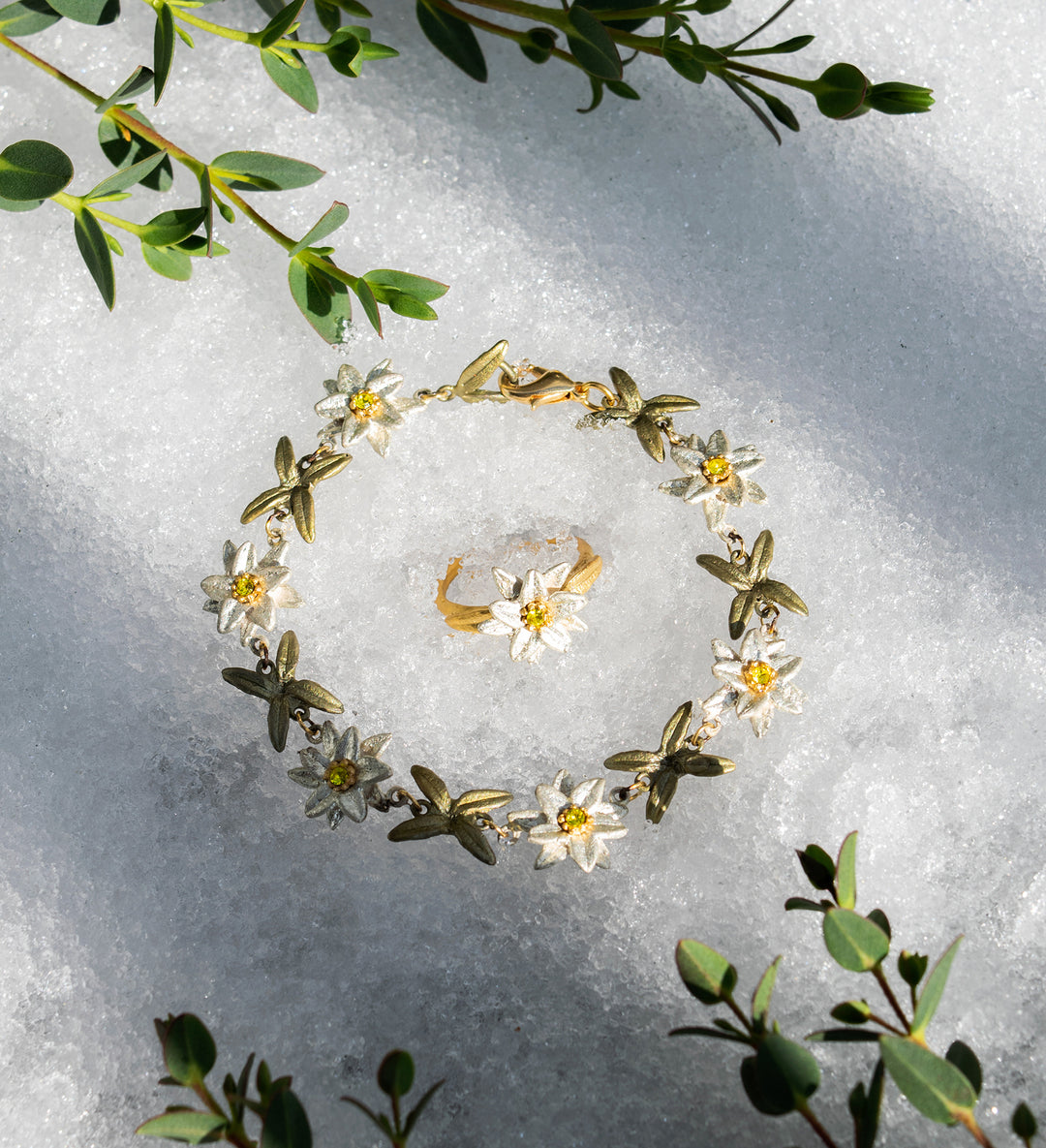 - Bracelet Collection -