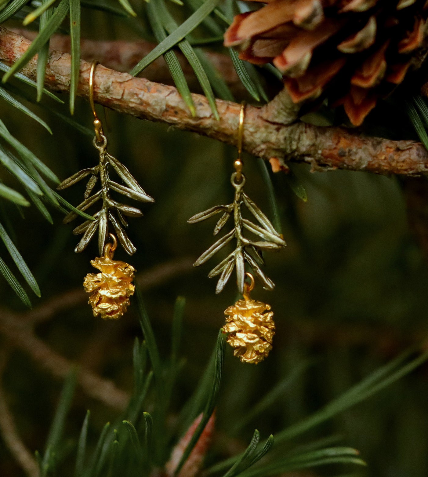 Gold pine cone earrings hanging from a branch with pine needles and cones.