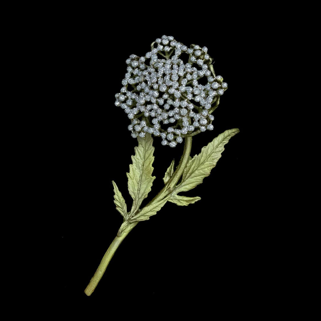 A flower brooch with a stem and leaves and a large umbrella-like cluster of crystal dots flowers