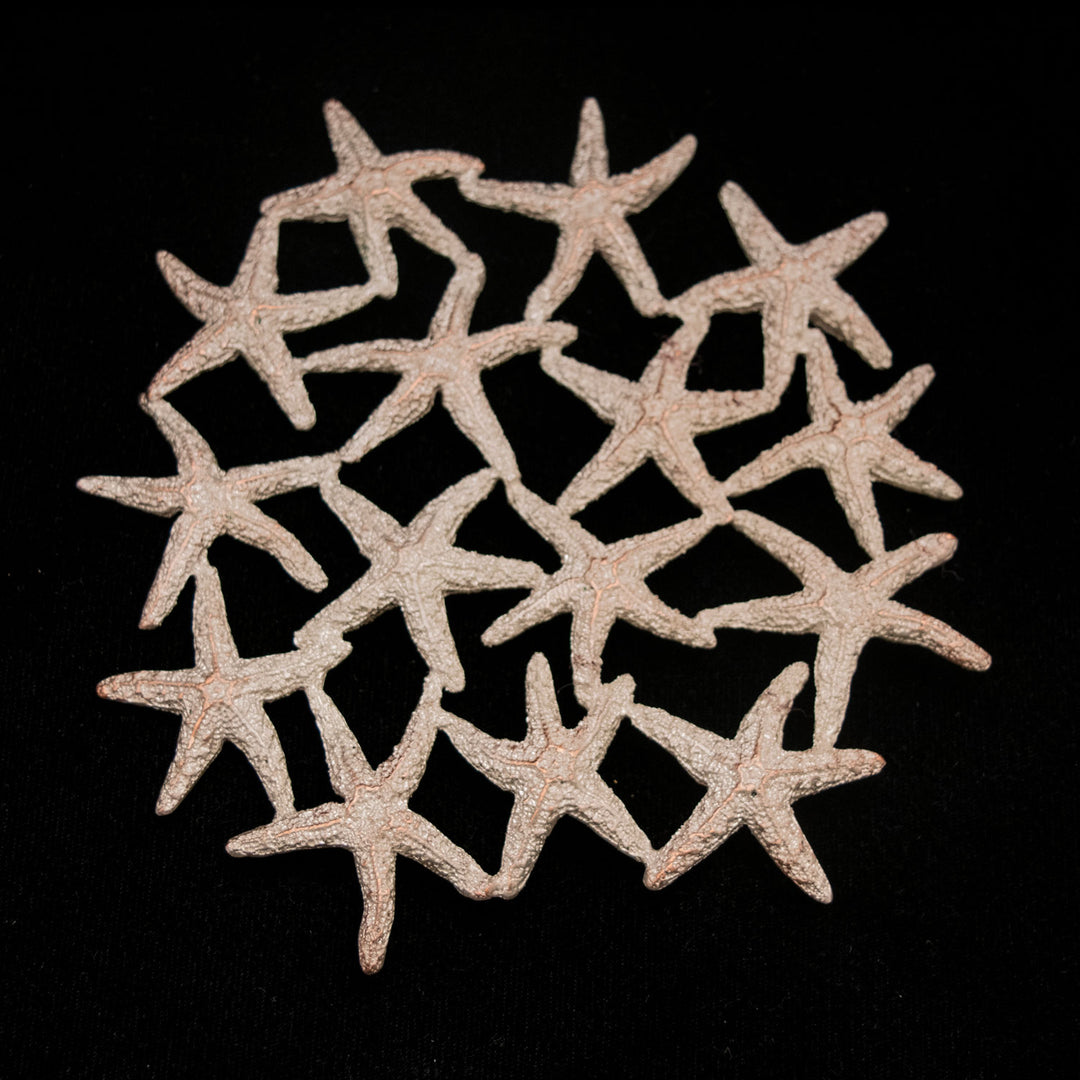 Starfish Trivet