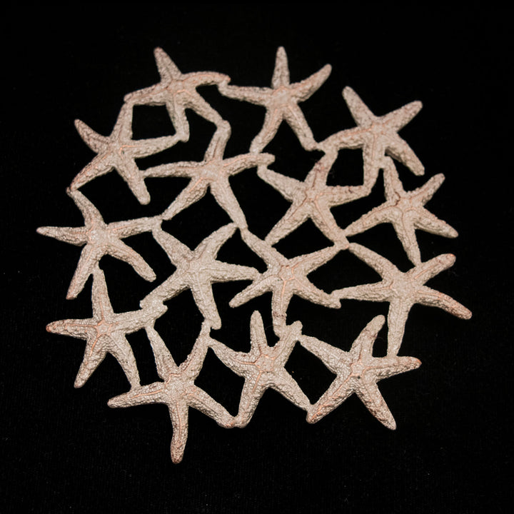 Starfish Trivet