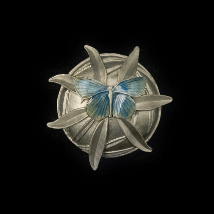 Fenders Blue Butterfly Box