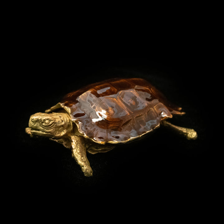 Image of the Michael Michaud Turtle Box on a black background