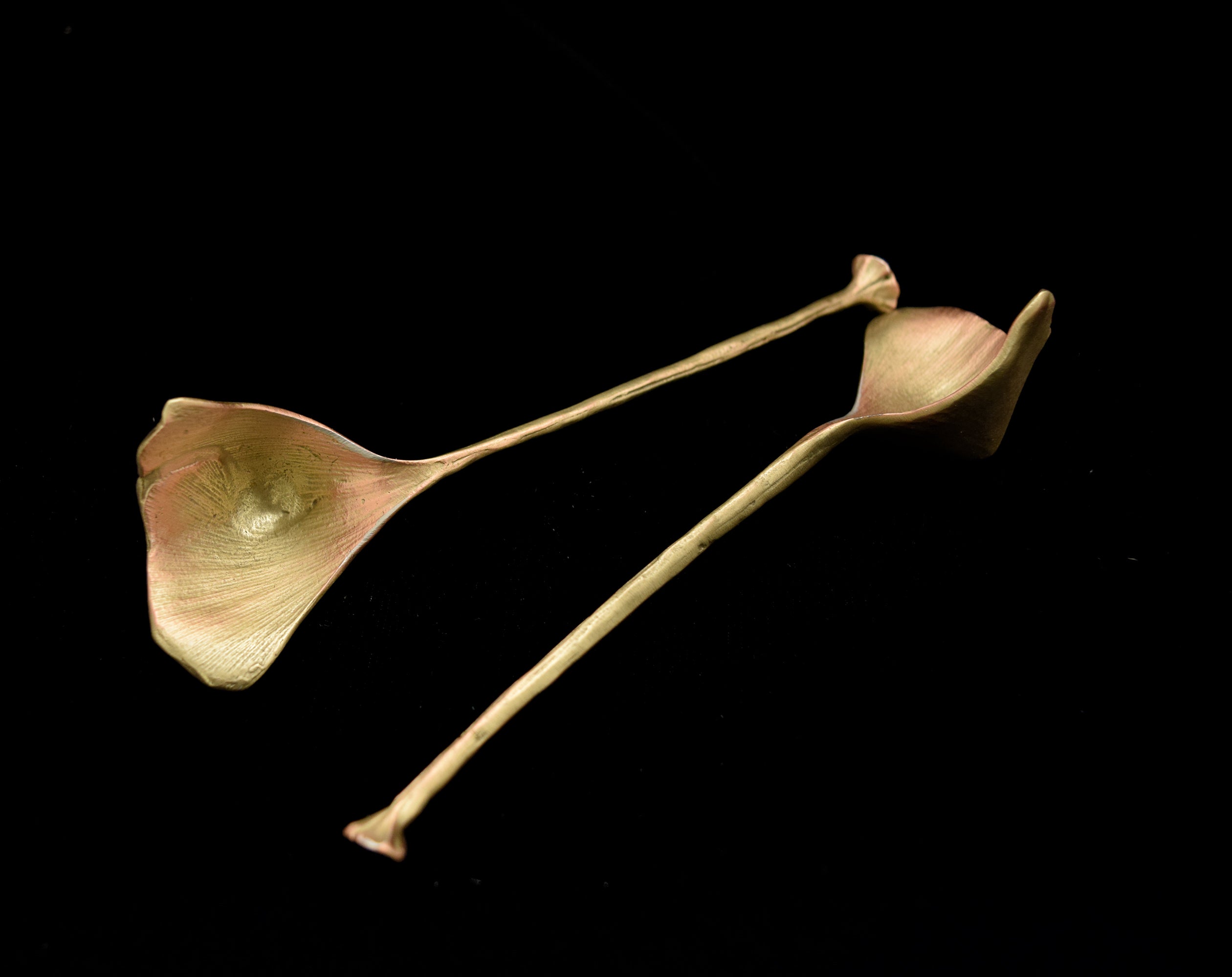 Ginkgo Spoons - Bronze