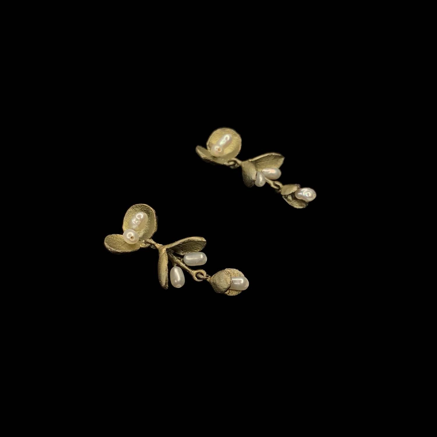 Eucalyptus Seed Earrings - Post