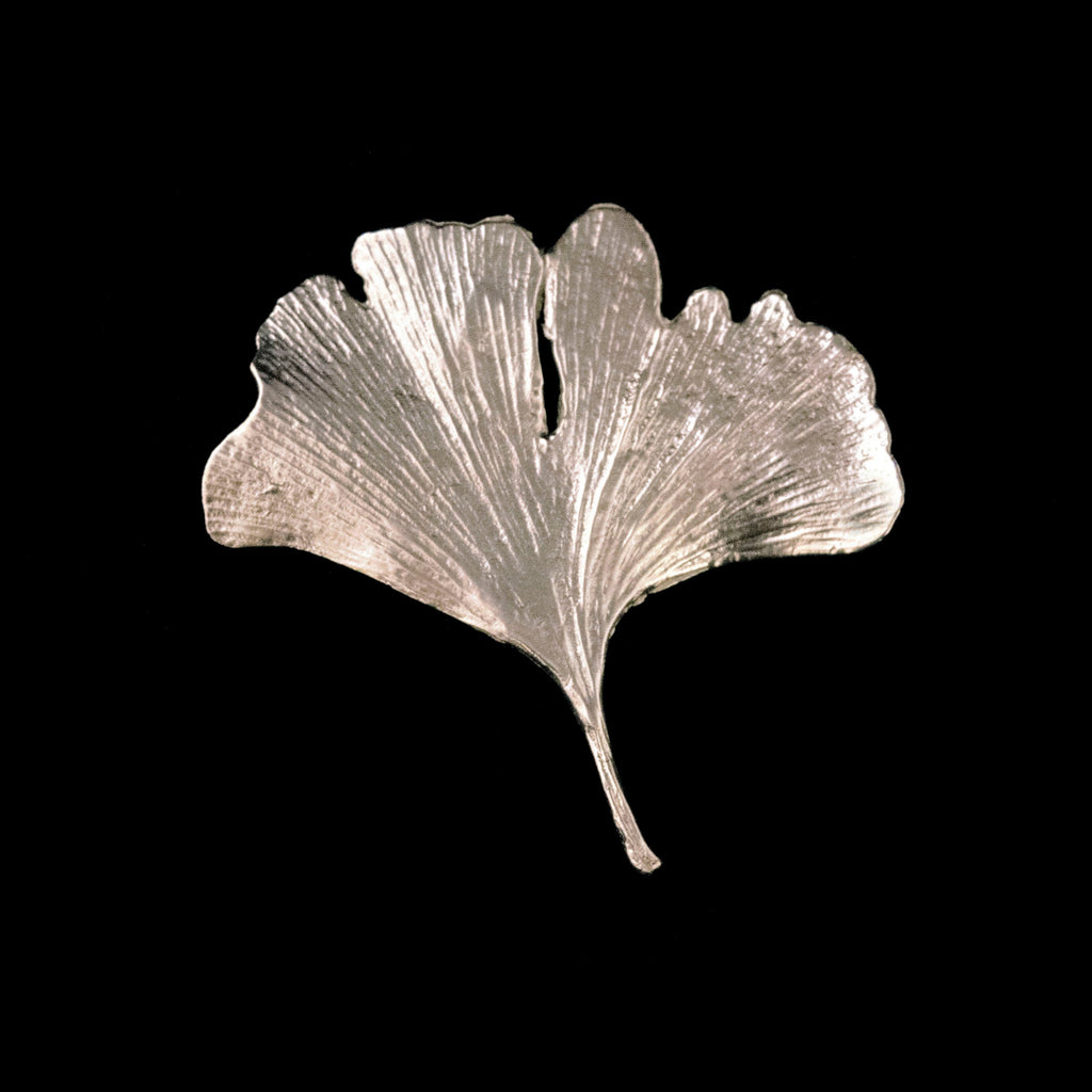 Fine Ginkgo Silver Brooch – Michael Michaud US